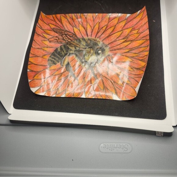 Hand Crafted Bee Flower Colored Pencil Drawing Framed 9x11" - Picture 11 of 14